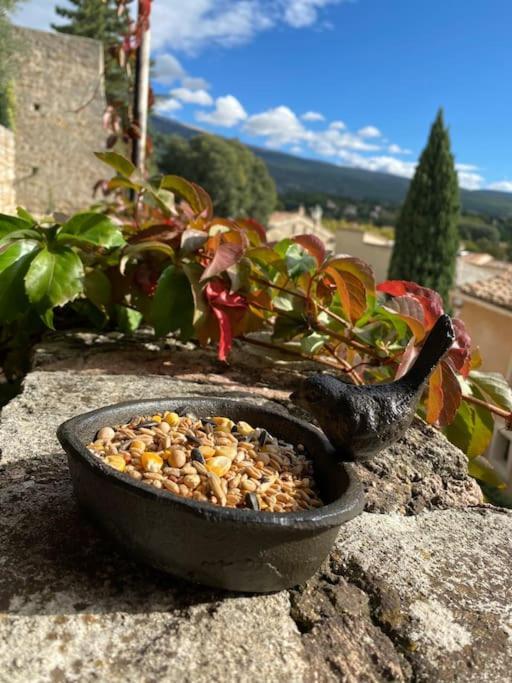 Maisonnette Bedoin Mont Ventoux エクステリア 写真